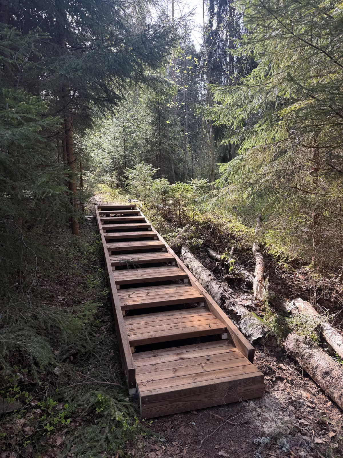 Jälkeen: Metsäpolun portaiden rakentaminen