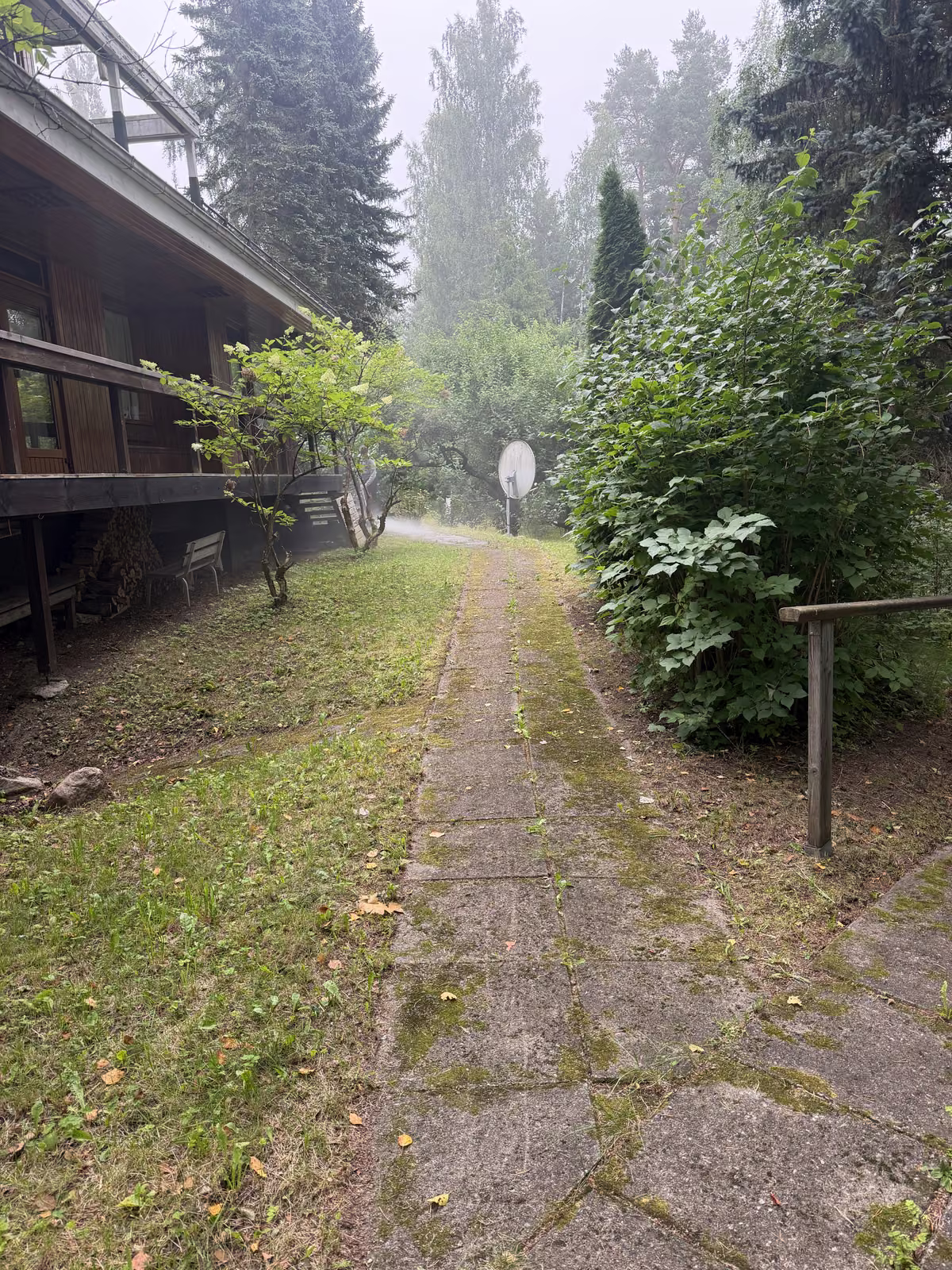Ennen: Kulkuväylän puhdistus