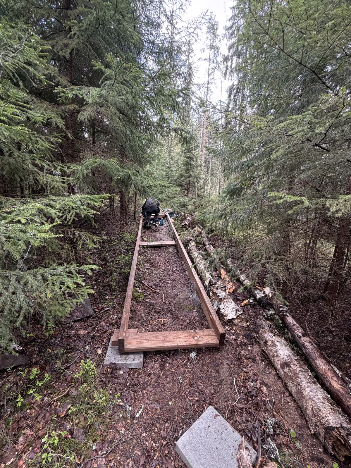 Ennen: Metsäpolun portaiden rakentaminen